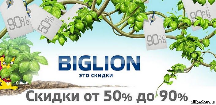Biglion - самые доходные интернет-компании